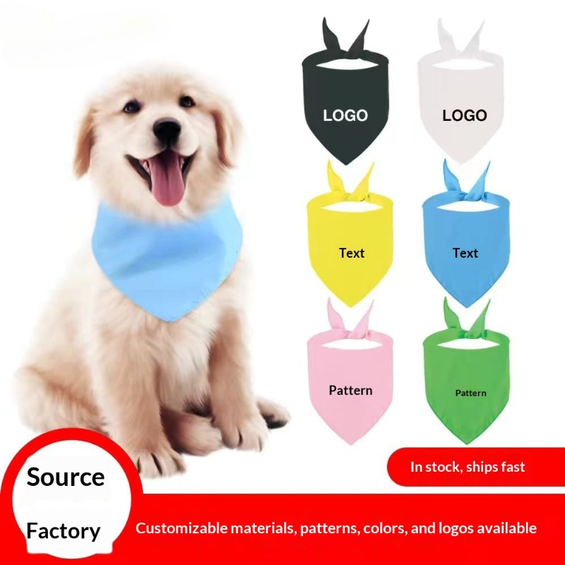 Wholesale Men Women Wedding Pa - Company Profile Printing 评论和价格