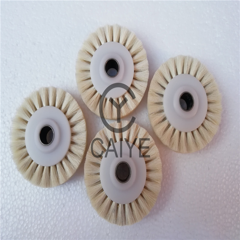 5Pieces 60x10x16mm Brush Wheel - Commercial Offset Printing 评论和价格